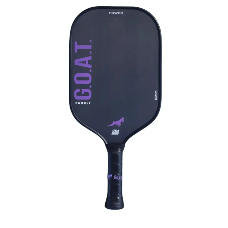 Pack Paint the Pickleball Court